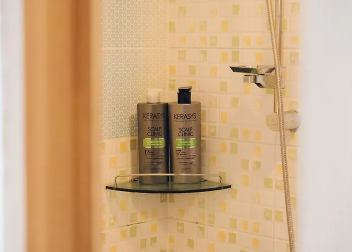 호스텔 디디엠 서울특별시